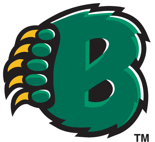 Baylor Bears 1997-2004 Alternate Logo t shirts iron on transfers v2